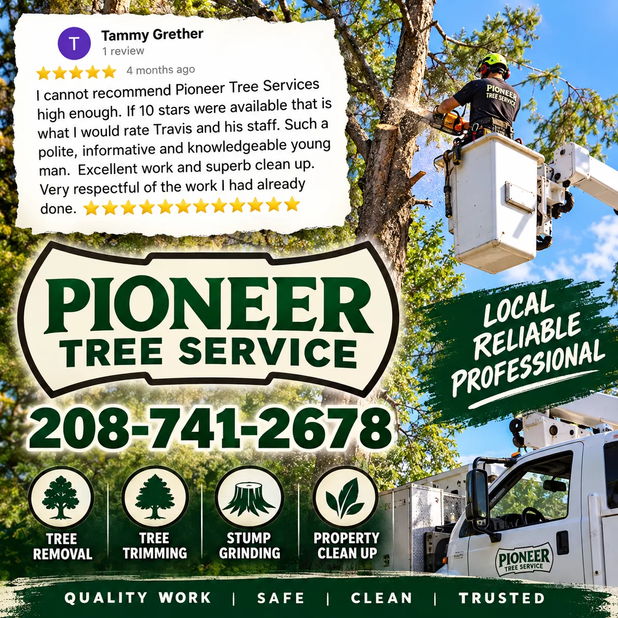 Pioneer Tree Service tree care work