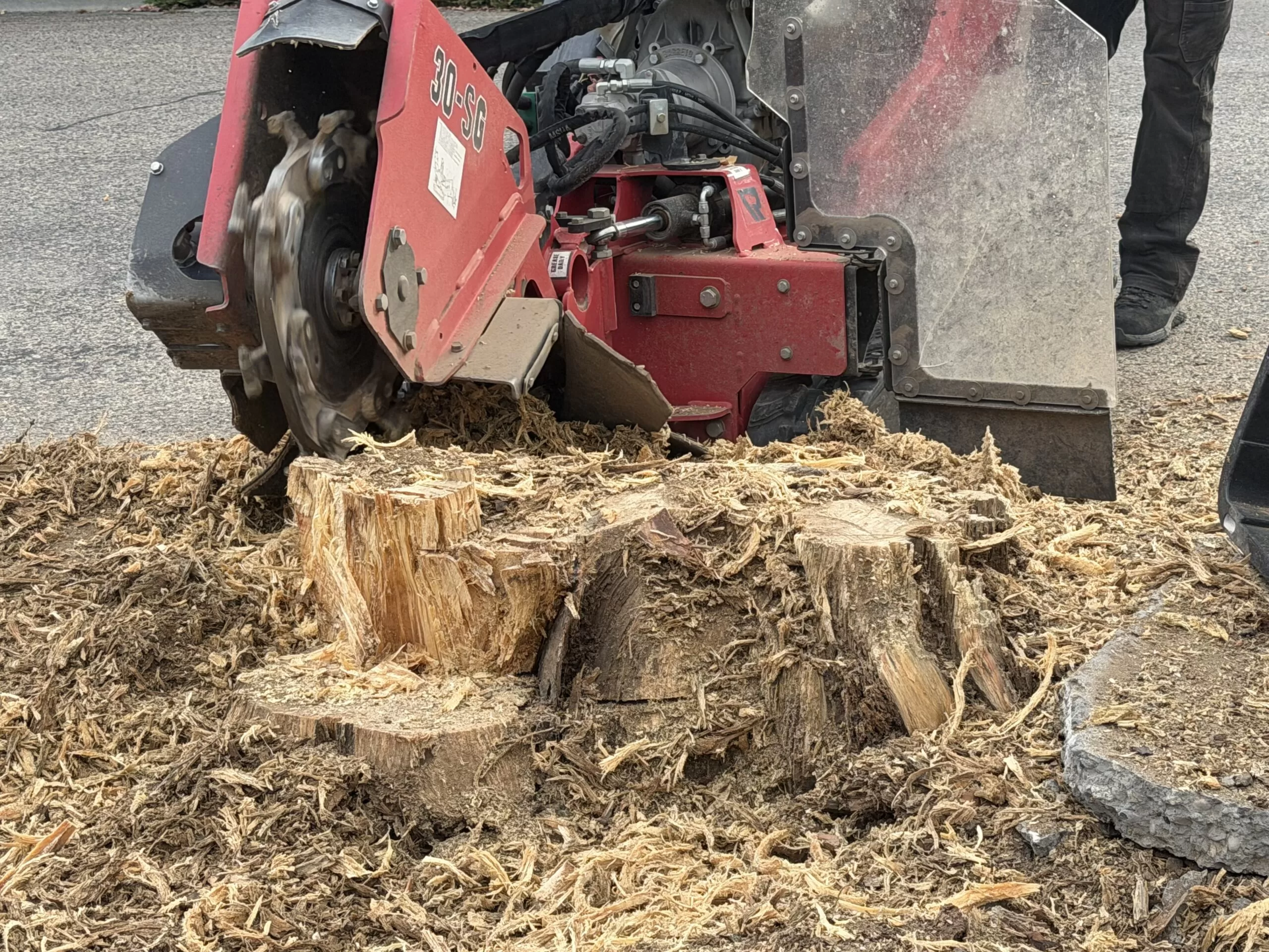 Pioneer Tree Service stump grinder removing a tree stump